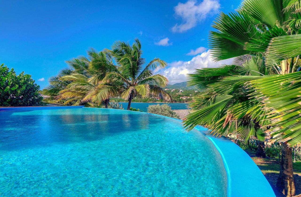 473 Grenada Boutique Resort St. George's المظهر الخارجي الصورة