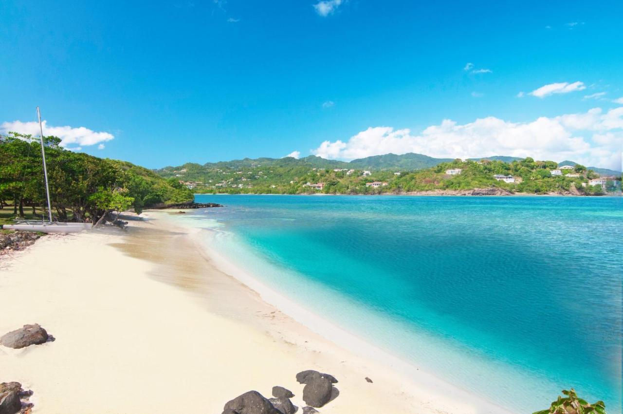 473 Grenada Boutique Resort St. George's المظهر الخارجي الصورة