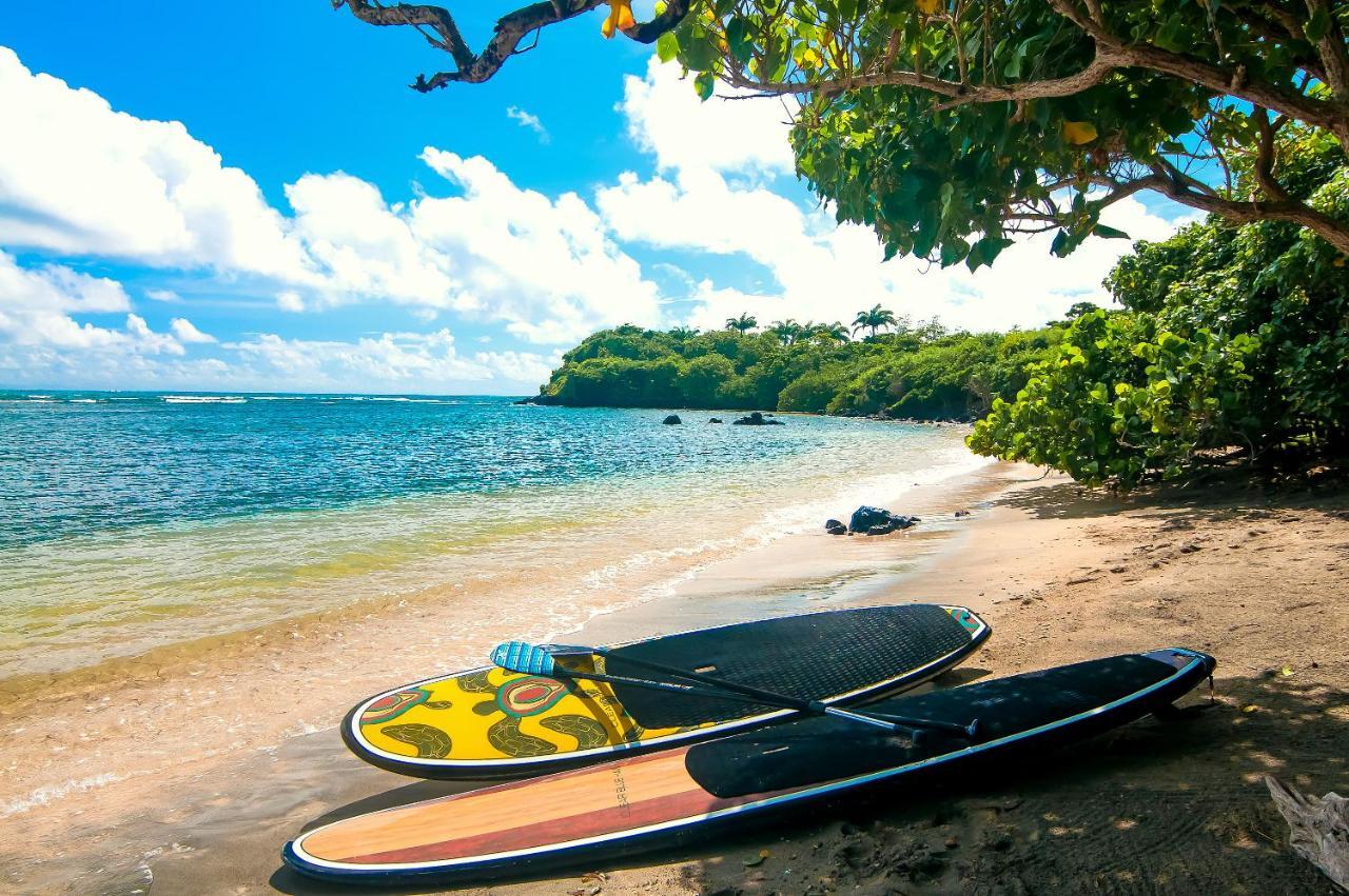 473 Grenada Boutique Resort St. George's المظهر الخارجي الصورة