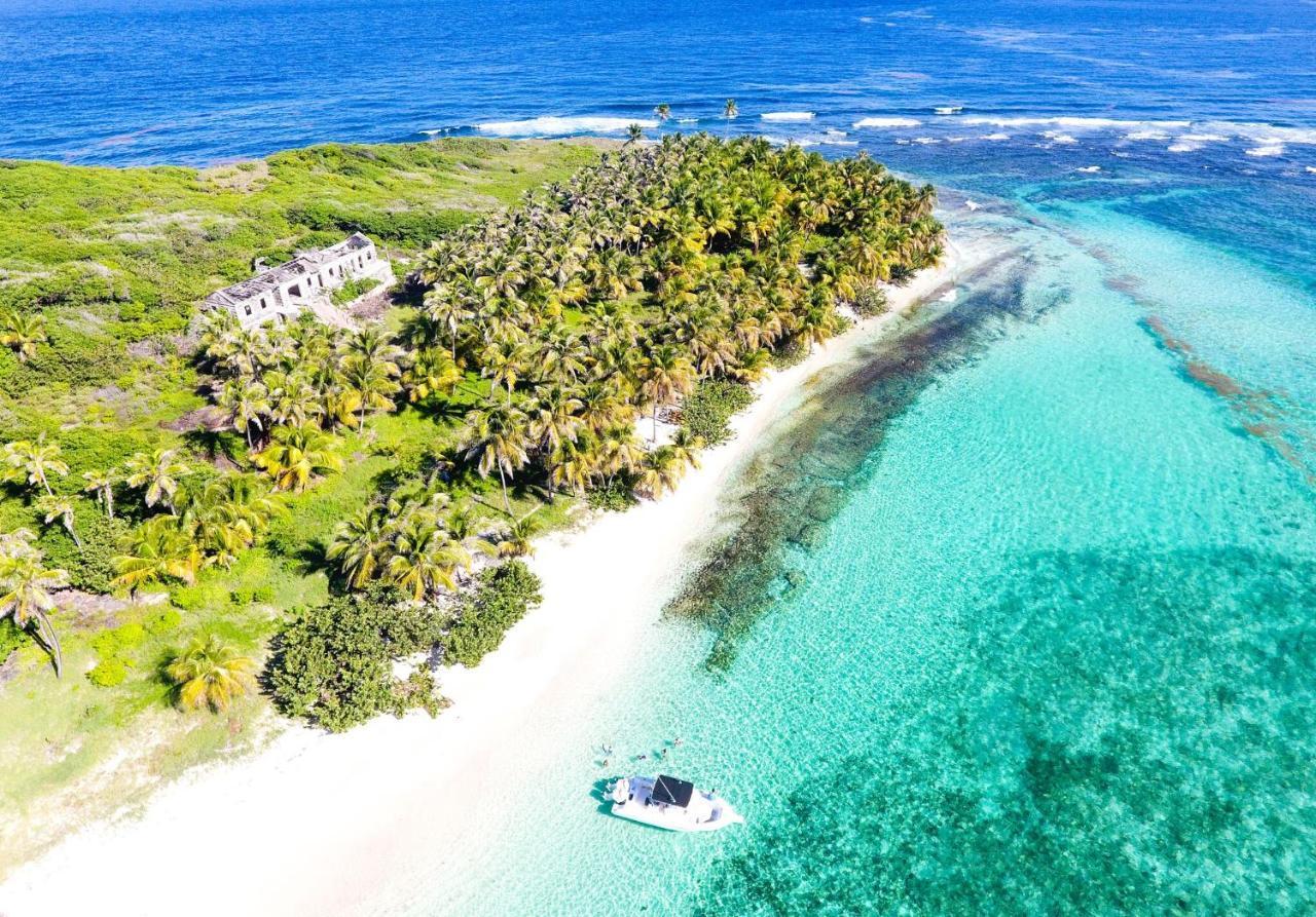 473 Grenada Boutique Resort St. George's المظهر الخارجي الصورة