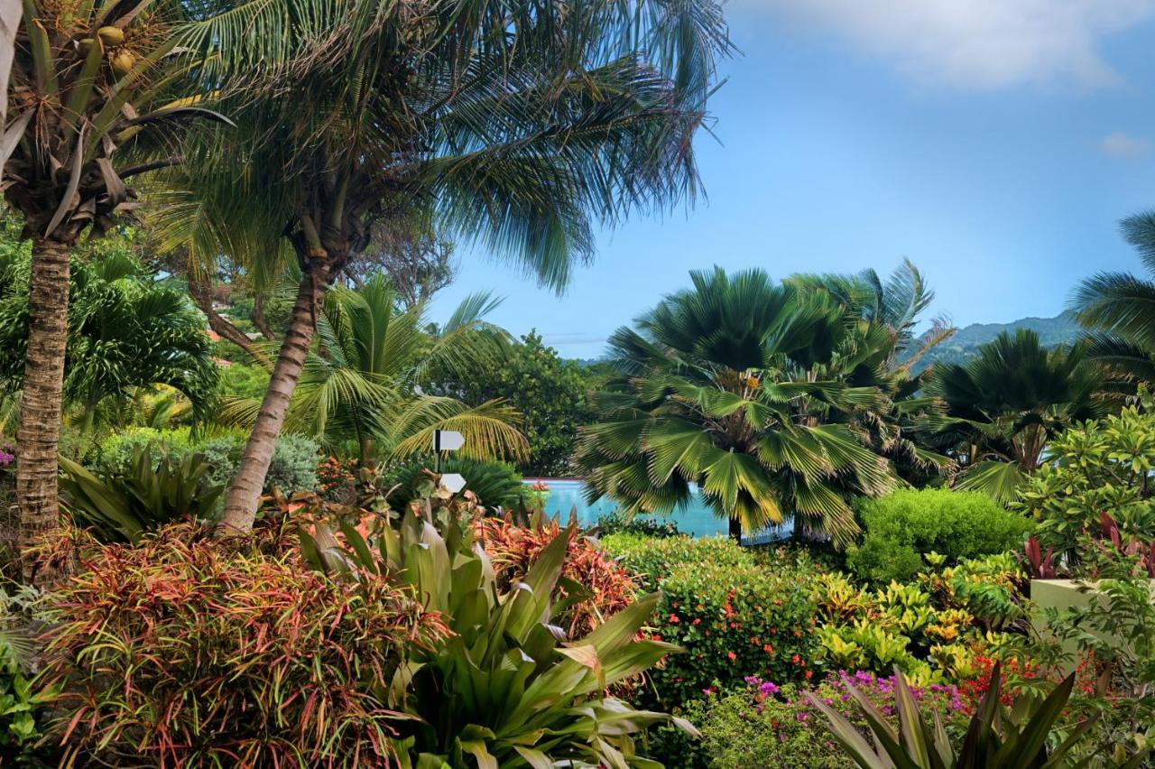 473 Grenada Boutique Resort St. George's المظهر الخارجي الصورة